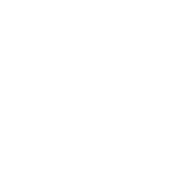 Fox Racing Private Sale Logo